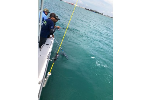 [5-10pax] Pioneer Ocean Blue fishing yacht